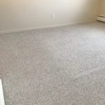 Carpet cleaning service in Edmonton